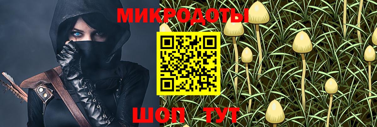 Галлюциногенные грибы Magic Shrooms  Вход с VPN  Галлюциногенные грибы Magic Shrooms  Ковров 